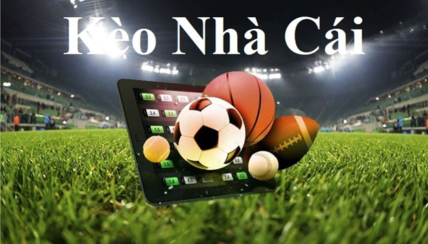 Dự đoán kết quả xổ số miền Bắc chiều nay