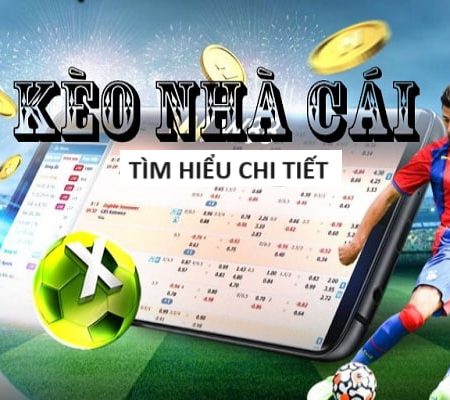 Dự đoán kết quả xổ số miền Bắc chiều nay