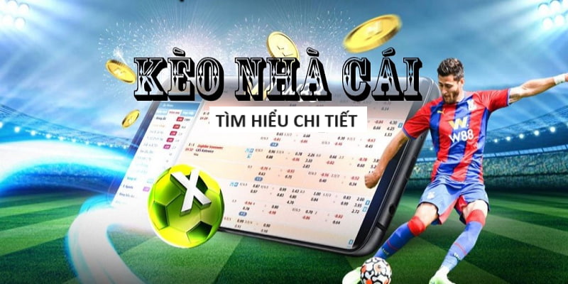 Dự đoán kết quả xổ số miền Bắc chiều nay