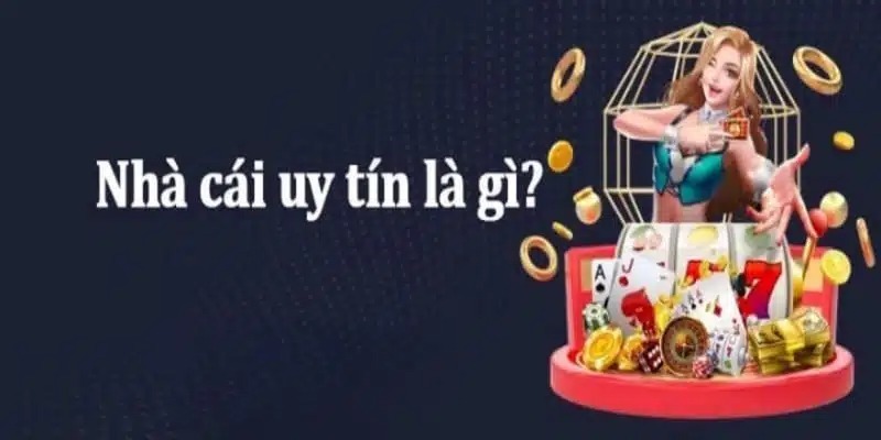 Bigbom Win： Chiến thắng lớn trong thị trường tiếp thị số